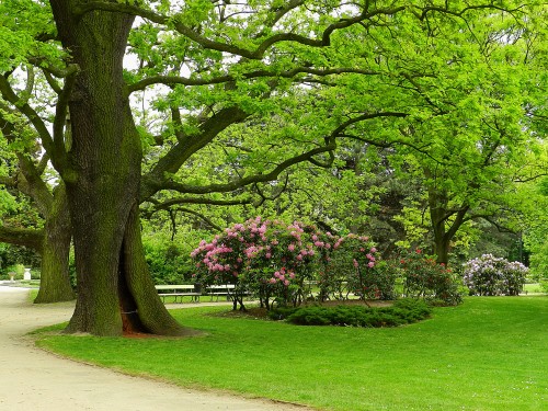 Park Ujazdowski, źródło: flickr.com